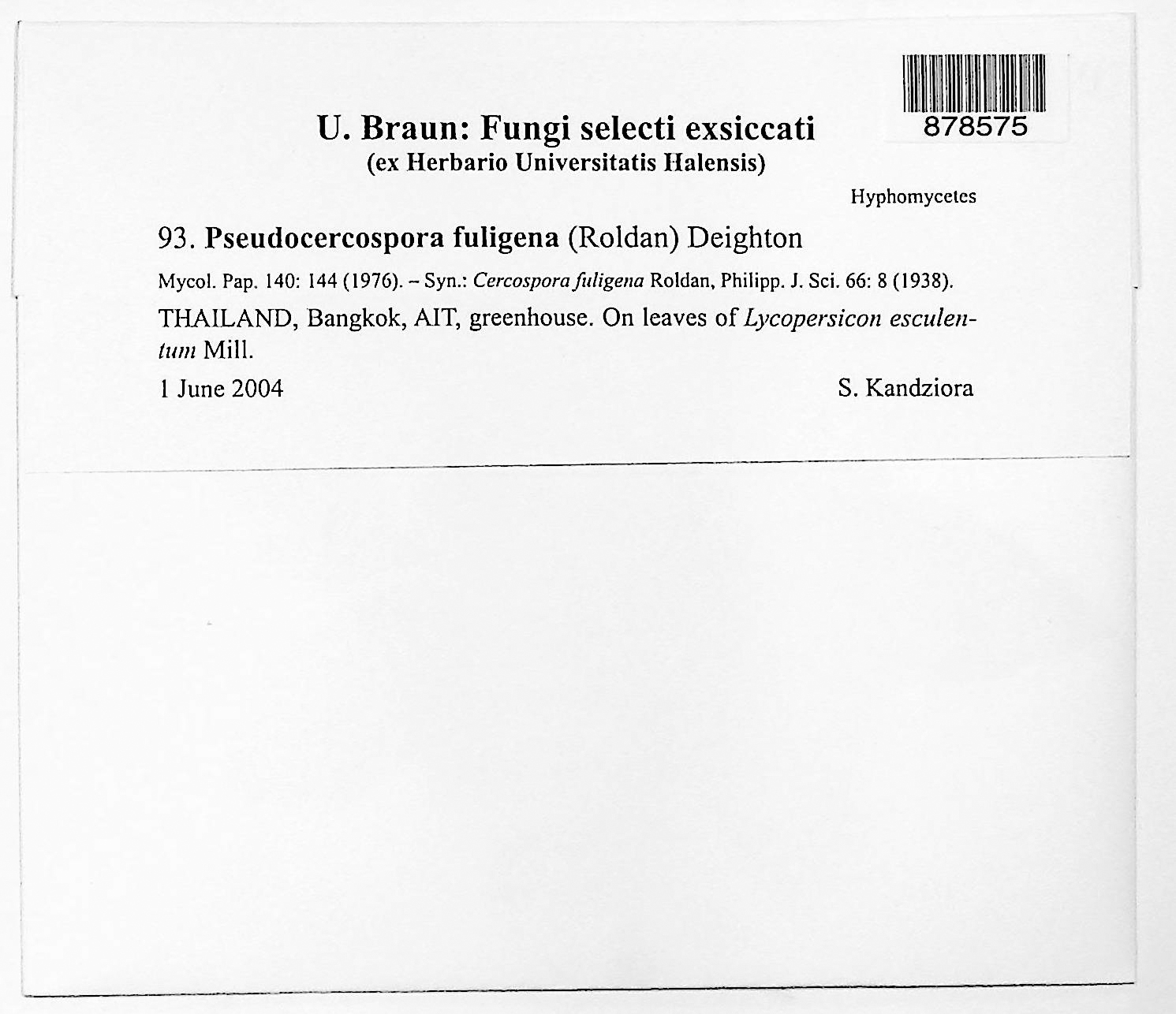 Pseudocercospora fuligena